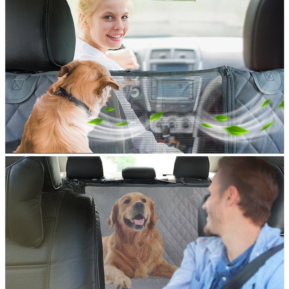 PawsOnTheGo CarTrek