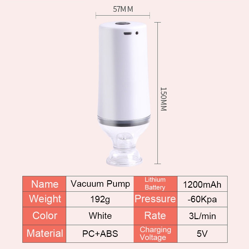 Portable Vacuum Pump Kit - RileyOutlet.com