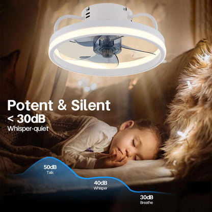 SmartBreeze LED Ceiling Fan - RileyOutlet.com