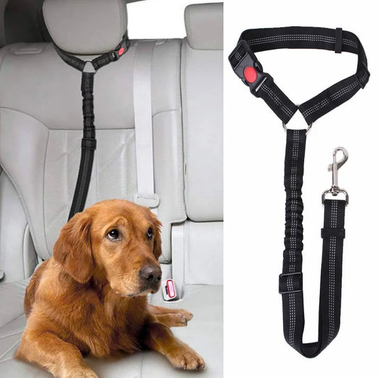 SafePup Seat Belt