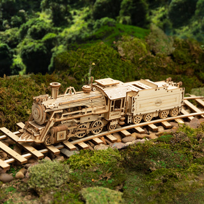 DIY 3D Movable Steam Train Wooden Puzzle - RileyOutlet.com